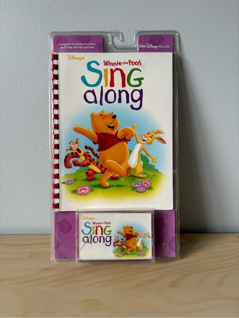 Disney Winnie the Pooh Sing Along Book & Cassette - New!